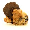 A Bijoux Pietre E Minerali. Siderite + Dolomite. 160,70 Ct. Miniera Di Pierre-Rousse, Viz