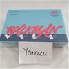 Sony NUOVO Sony Walkman NW-A100TPS 40th Anniversary Limited Model Hi-Res Bluetooth