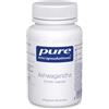 Pure Encapsulations Ashwagandha, 30 Capsule | Estratto di Withania Somnifera (Ginseng Indiano), Tradizione Ayurvedica, Capsule Vegane Ipoallergeniche senza Glutine