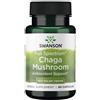 Swanson Health Products SWANSON Fungo Chaga 400 mg 60 Pc