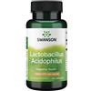 Swanson Health Products SWANSON Lactobacillus Acidophilus 1 miliardo di CFU 100 Pc