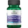 SWANSON Albion Ferrochel Ferro 18 mg 180 Pc