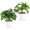 PASCH® Set di 2 piante artificiali realistiche (18 cm) in vasi di ceramica lucidi | Piante artificiali in vaso | Piante artificiali in vaso | Pianta finta Kunstblumen