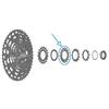 SHIMANO CS-Lg700 Pignone Silver/Black One Size