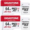 Gigastone 2 schede micro SD da 64 GB con 2 adattatori SD + 2 mini custodie, fotocamera Plus, registrazione video 4K, alta velocità 95 MB/s, compatibile con Nintendo Switch, MicroSDXC UHS-I A1 V30 U3