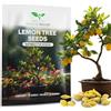 Magic of Nature: Semi di Limone Mini (10 Pz) - Adatto per Bonsai Citrus