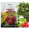 Magic of Nature Semi di Lampone Rosso circa 50 Pz - Rubus idaeus Perenne - Autosufficienza Giardino & Balcone - Resistente al Freddo