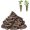 Armastuse 50 Pezzi Spugne di Ricambio per Coltivazione, Spugne per la Crescita per Sistema di Coltivazione di Piante per Torba Organica per Giardino Idroponico Interno