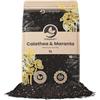 Sybotanica - Terricio per Calathea e Maranta 5 L - Substrato di cocco premium per Calathea, Maranta, Begonia, Musa, Strelitzia - Senza torba - Concime organico 180 giorni - Ideale per interni