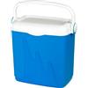 Curver Frigo Portatile Passivo 20L Ghiacciaia Rigida da Campeggio Isotermica