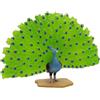 Bullyland 69390 - Uccelli - Peacock