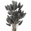 MHDAMAI Piccola Erba Secca di Pampa,Coda di Coniglio Essiccata Mazzi di Erba60Coda di Coniglio Pampa Erba Secca Naturale Fiore Artificiale per Matrimonio Decorazione D'interni Domestica Giardino Festa,Grigio
