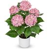 Briful - Ortensia artificiale Real Touch in vaso - 50 cm pianta artificiale con 5 teste di fiori - Pianta decorativa di ortensia per soggiorno, tavolo e ufficio, ortensie artificiali rosa