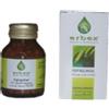 Erbex srl ISPAGHUL 100CPS 430MG ERBEX