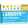 ALFASIGMA SPA Carnidyn Fast Integratore con Magnesio e Potassio 12 Bustine - Carnidyn