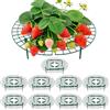 CNNIK Supporti per piante di fragole, set da 10, supporto rotondo, tiene le fragole sollevate da terra, riutilizzabile per giardino e orto rialzato
