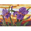 Diamond Dotz Diamond Painting Iris Sunset adulti