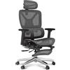 Flexispot Sedia ergonomica per ufficio C7DG-Air LITE PRO per manager, grigio scuro - A