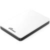 OEM Disco rigido esterno da 1 TB con USB 3.1 Type-C per PC e Mac