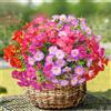 TINA Fiori Artificiali Come Veri, 8 Mazzi Fiori Artificiali per Balcone Piante da Esterno Resistenti alle Intemperie, Bouquet di Fiori Finti Resistente ai Raggi UV Decorazione Primaverile Fiori Finti