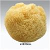 Koh-I-Noor Spugna da Bagno Naturale 18-19 cm - Accessorio Igiene Corpo