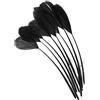 PATIKIL 6-8 Oca Piume, 100pz Sfuso Naturale Piume per Artigianato Carnevale Lavoro Manuale Abbigliamento Costumi Matrimonio Festa Stile 4, Nero