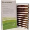 OTI Officine Terapie Innovative GAMMA LIMPHOMIOTI COMPOSTO 20 FIALE FISIOLOGICHE 2ML