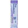 BOIRON Rhus toxicodend*30ch 80gr4g bo - BOIRON - 046498299