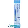 BOIRON Thuya occident 9ch gr bo - BOIRON - 800025417