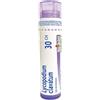 Lycopodium clav*30ch gl 1g bo - - 046063297