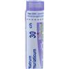 BOIRON Natrum muriatic*30ch 80gr 4g bo - BOIRON - 046691299