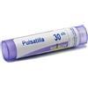 Pulsatilla*30ch gr 1g bo - - 046477701