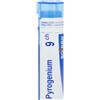 Pyrogenium 9ch gr bo - - 800024539