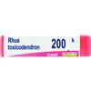 Rhus toxicodend*200k gr 1g bo - - 046506376