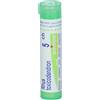 BOIRON Rhus toxicodend*5ch 80gr 4g bo - BOIRON - 046498046