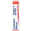 Lachesis mutus 200k gl bo - - 800109769