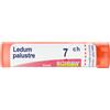 BOIRON Ledum palustre boi*7ch 80gr 4g - BOIRON - 050835065