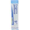 BOIRON Eugenia jambosa 9ch gr 4g - BOIRON - 800108654