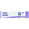 BOIRON Ledum palustre boi*30ch gl 1g - BOIRON - 050834290