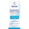 WELEDA Bryophyllum argento cul d2 gtt - WELEDA - 800132615