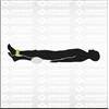 Schildköt Fitness Schildkröt - Fitness Schildkröt Fitness CATENA PESI, 2x 0,5kg, (verde) in borsa da trasporto