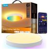Govee Round Smart Ceiling Light kattovalaisin