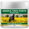 INTALY LAB Srl Arnica 100% forte 150 ml