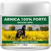 INTALY LAB Srl ARNICA 100% FORTE 150ML