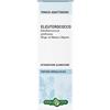 Erba Vita ELEUTEROCOCCO RADICI TINTURA IDROALCOLICA 50 ML EBV