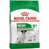 Royal Canin Crocchette Royal Canin Mini Adult 8+ cani anziani, 800g