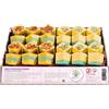 Ecoworld Cubetti effervescenti in vassoio albicocca e fiori di campo 60 g BIO