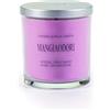 Cereria lumen Candela Vegetale Mangiaodori Con Coperchio Alluminio - 150 Ml