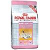 Royal Canin FELINE HEALTH NUTRITION MOTHER & BABYCAT 400 G