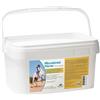 N.B.F. Lanes MICROBIOTAL HORSE 20 BUSTINE DA 60 G